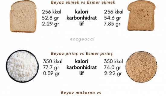 Kolesterol ve Beslenme Günlük Beslenme Programı